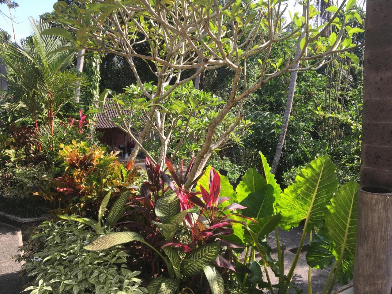 The Bali Shanti हॉलिडे पार्क Ubud (Bali)